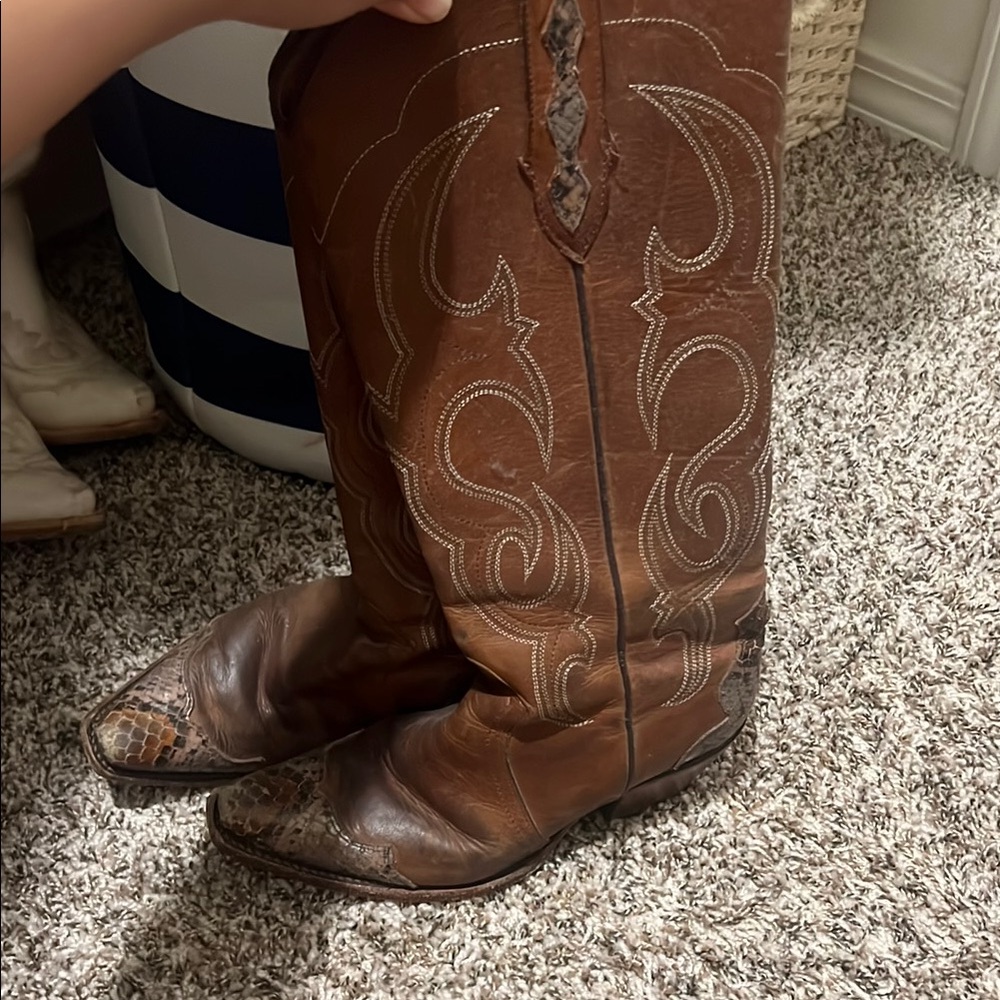 Idyllwind Brown Heeled Boots with Snakeskin Accents